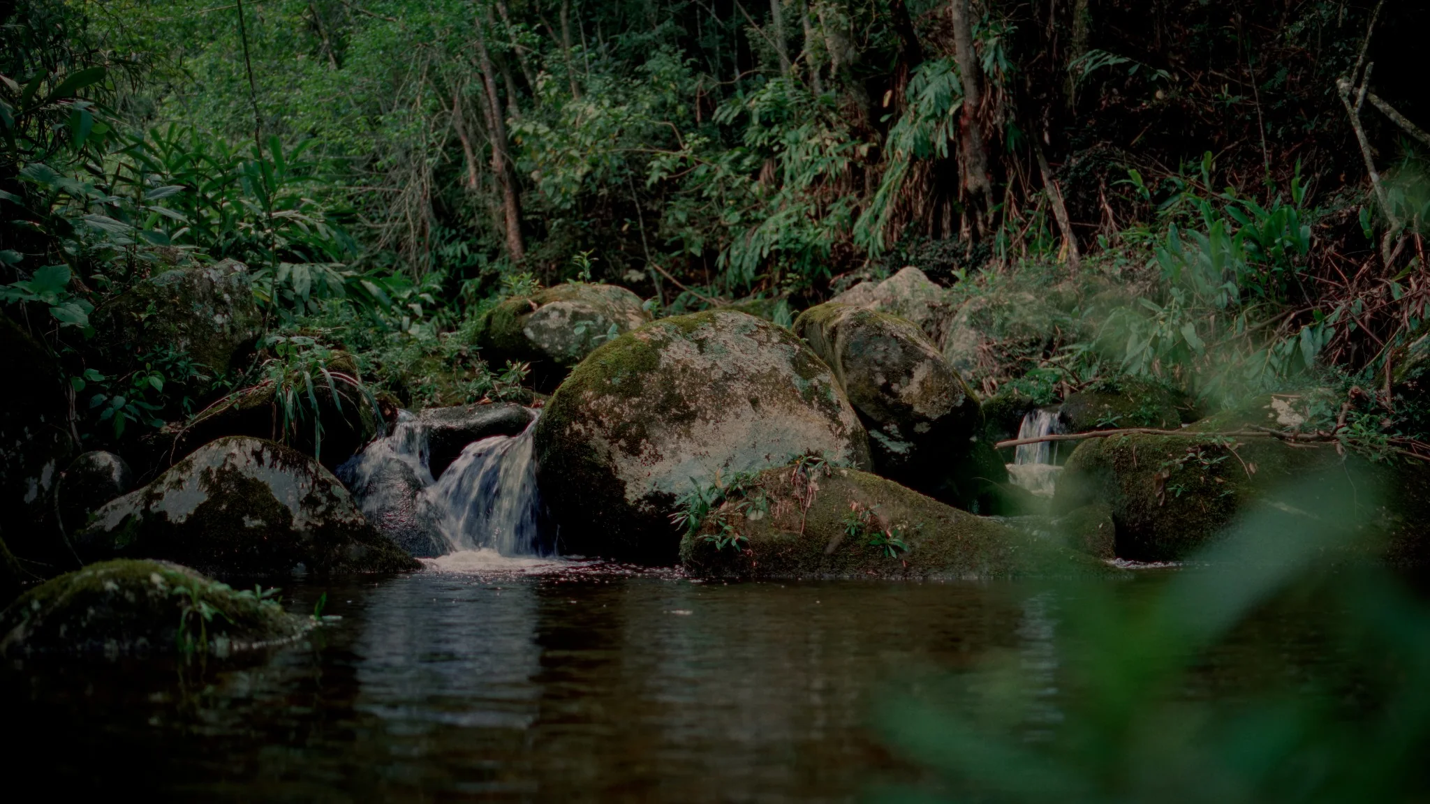 Território de criação · Nova Friburgo